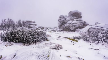 Krkonose NP 'de Krkonosska Sulh Ceza Hakimliği' nde kışın Divci Kameny adlı donmuş kaya oluşumu.