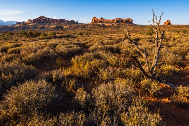 Utah, Moab yakınlarındaki Arches Ulusal Parkı 'nın çöl bölgesi. Gün doğumundan sonra.. 