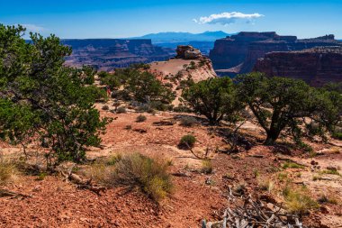 Utah ABD 'deki Kanyonlar' ın Gök Bölgesi Ulusal Parkı 'ndaki adanın Şhafer Kanyonu bölgesinde..