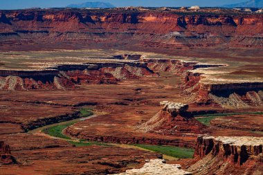 Kanyonlar Ulusal Parkı Utah ABD 'deki Green River Overlook.