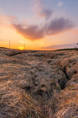 Source of the Elbe river in the Krkonose mountains in Czechia during sunset. clipart