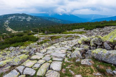 Çek Cumhuriyeti sınırındaki Krkonose dağlarında bir patika.