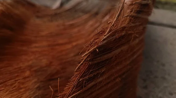 ココナッツ コアのクローズアップ写真です — ストック写真