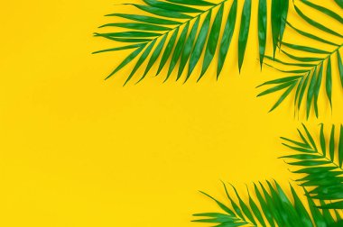 Asgari soyut yaz geçmişi. Sarı arka planda tropik palmiye yaprakları