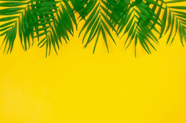 Sarı zemin üzerinde tropik yeşil yapraklar, sınır bileşimi