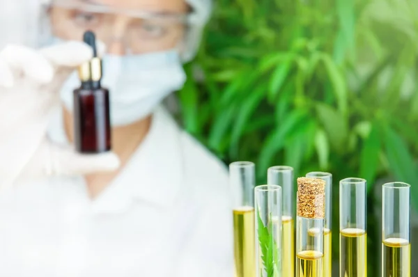 Laboratuvarda kenevir testi yapan kadın bilim adamı, CBD yağ ve tıbbi kenevir bitkileriyle test tüpleri