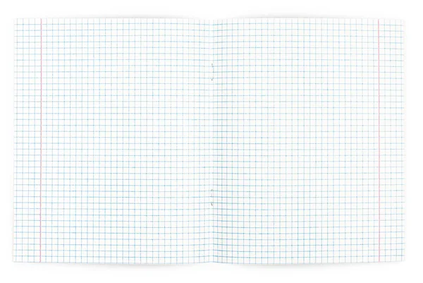 Open blank graph paper notebook isolated on white