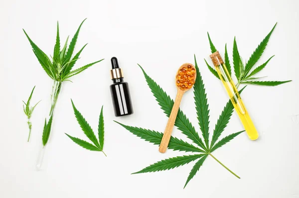 Medicinal Marijuana Leaves Cbd Oil Thc Tincture Cbd Capsules White — Stock Photo, Image
