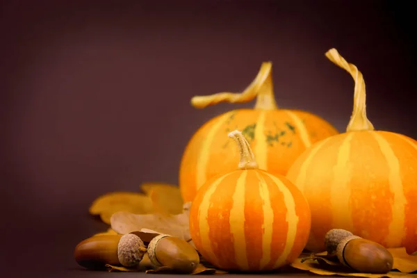 Herfst Feestelijke Achtergrond Drie Pompoenen Herfstbladeren Eikels Donkere Achtergrond — Stockfoto