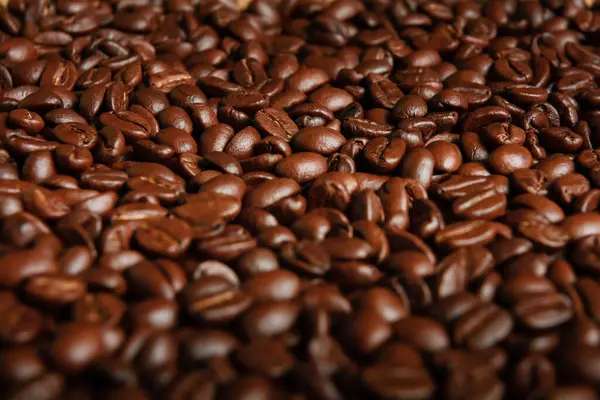 Rostade Kaffebönor Struktur Närbild Stockbild