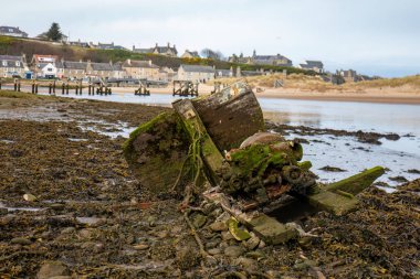 Sahildeki eski tekne enkazı