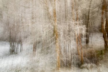 hareket bulanık doğal arkaplan görüntüsü
