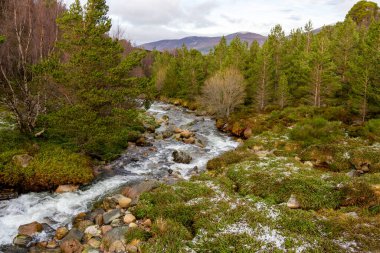 Cairngorm 'lardan akan tüm Mor Nehri