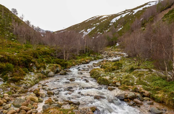 Allt Mor Río Que Fluye Través Los Cairngorms —  Fotos de Stock