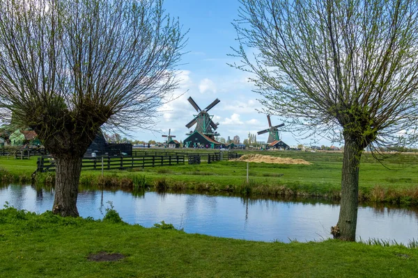 Amsterdam Landschaft Aus Kanal Wiese Und Funktionierenden Windmühlen Holländische Landschaft — Stockfoto