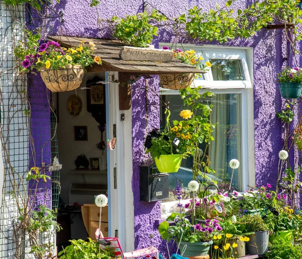 Niedliche Kleine Lila Bemalte Hütte Mit Vielen Blumen Und Bunten — Stockfoto