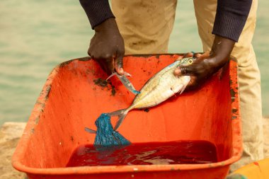 Balık pazarında taze balık fileto ediliyor ve temizleniyor.