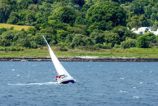 Yelkenli yatı okyanusta rüzgarda son sürat
