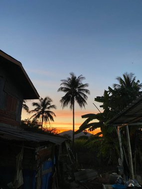 Mavi gün batımlı bir gökyüzü ağacı var..