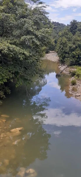 stock image beautiful view of river in the forest