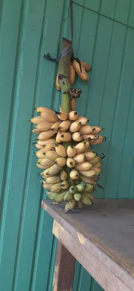 Albero Banane Tavola — Foto Stock