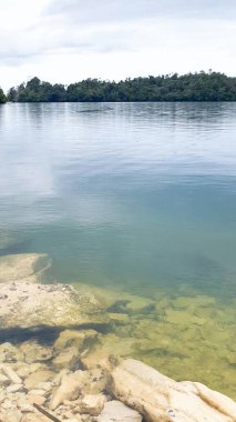 Güzel göl ve nehir, doğa