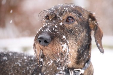Raageleje sahilinde yıkanmak için bir sahil evi.