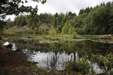 Almindinge Orman Gölü, Ulusal Park, Bornholm
