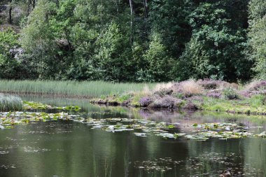 Almindinge Orman Gölü, Ulusal Park, Bornholm