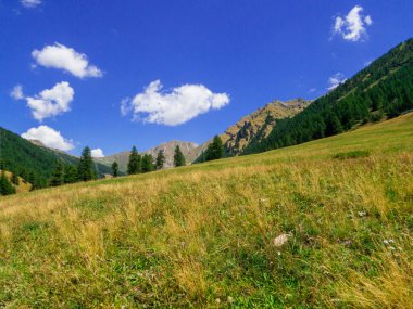 Vallone Vertosan 'daki Idyllic manzarası, Aosta Vadisi, İtalya