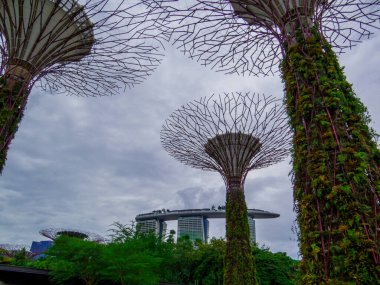 Singapur Körfezi 'ndeki Bahçelerin Manzarası