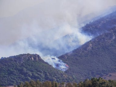6 Ağustos 2023 'te Posada' daki büyük yangın. Sardunya, İtalya