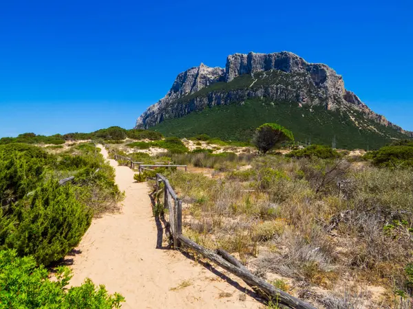 stock image View of the amazing Tavolara Island in Sardinia, Italy