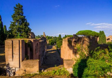 Caracalla Hamamları (İtalyanca: Terme di Caracalla) Roma, İtalya