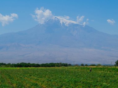 Türkiye 'de Ermenistan sınırında görülen Arart Dağı manzarası