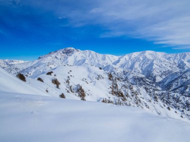 Özbekistan 'daki Chimgan Dağları manzarası