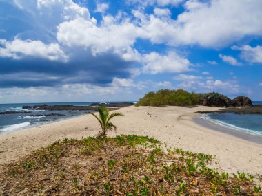 Guanacaste, Kosta Rika 'daki San Juanillo Sahili manzarası