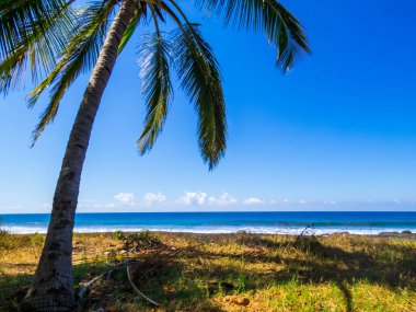 Guanacaste, Kosta Rika 'da Playa Junquillal manzarası