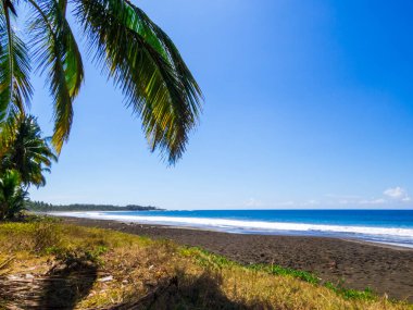 Guanacaste, Kosta Rika 'da Playa Junquillal manzarası