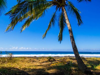 Guanacaste, Kosta Rika 'da Playa Junquillal manzarası