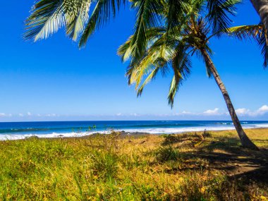 Guanacaste, Kosta Rika 'da Playa Junquillal manzarası
