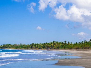 View of Playa Junquillal in Guanacaste, Costa Rica clipart