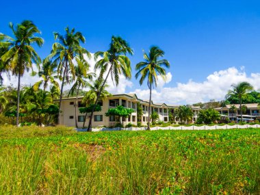 Guanacaste, Kosta Rika 'da Playa Venado' nun sahil kenarındaki evler