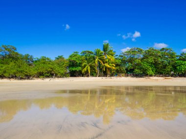 Guanacaste, Kosta Rika 'daki Playa Avellanas manzarası