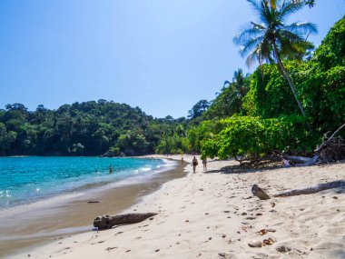 Escondido Plajı, Manuel Antonio Ulusal Parkı, Kosta Rika