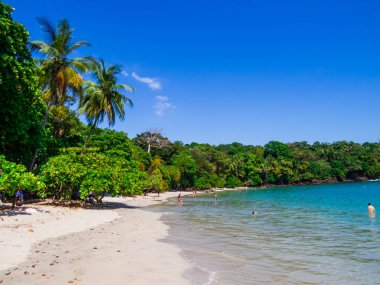 Escondido Plajı, Manuel Antonio Ulusal Parkı, Kosta Rika