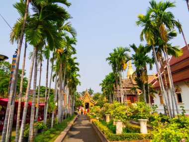 Chiang Mai, Tayland 'da Phra Singh Woramahawihan manzarası