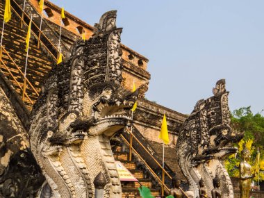 Chiang Mai, Tayland 'da Wat Chedi Luang manzarası