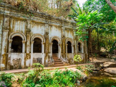 Chiang Mai, Tayland 'da Wat Pha Lat manzarası
