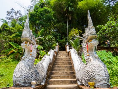 Chiang Mai, Tayland 'da Wat Pha Lat manzarası